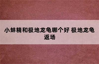 小蚌精和极地龙龟哪个好 极地龙龟返场